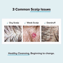 将图片加载到图库查看器,LebeL Viege Shampoo (240ml/600ml/1000ml)