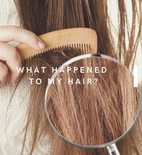 将图片加载到图库查看器,GLOBAL MILBON MOISTURE REPLENISHING TREATMENT 200G / 500 / 1KG