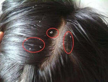 将图片加载到图库查看器,Milbon Plarmia Clear SPA Foam Shampoo (170ml/320ml)